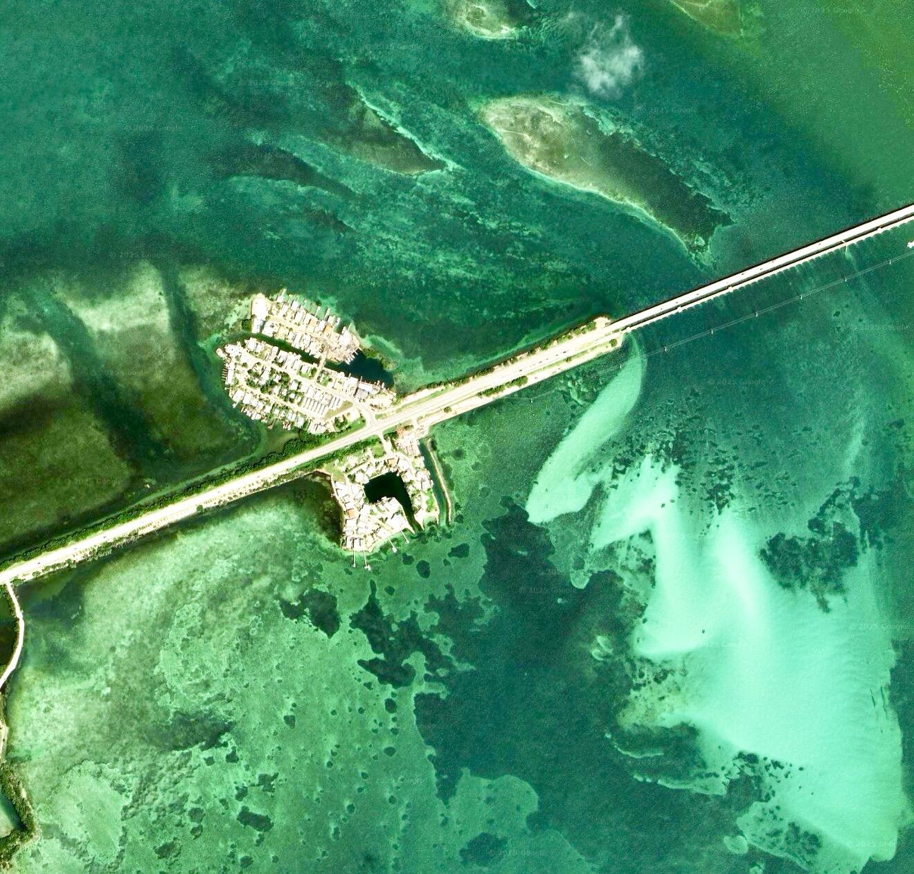 44 Seaview Avenue Marathon, FL 33050 - Photo 4 of 20 a view of a yard with a tree