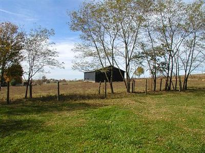 1147 Fall Lick Road Lancaster, KY 40444 - Photo 19 of 21 More views of the adjoining land.