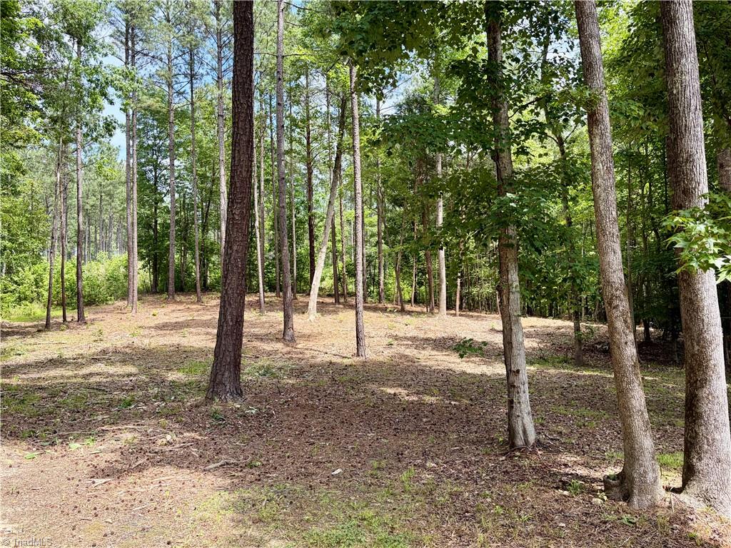 2595 Stokes Road Denton, NC 27239 - Photo 16 of 20