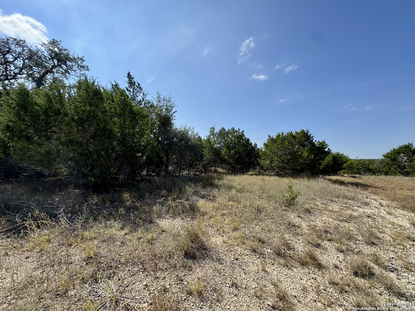 1047 Mystic Breeze Spring Branch, TX 78070 - Photo 9 of 13