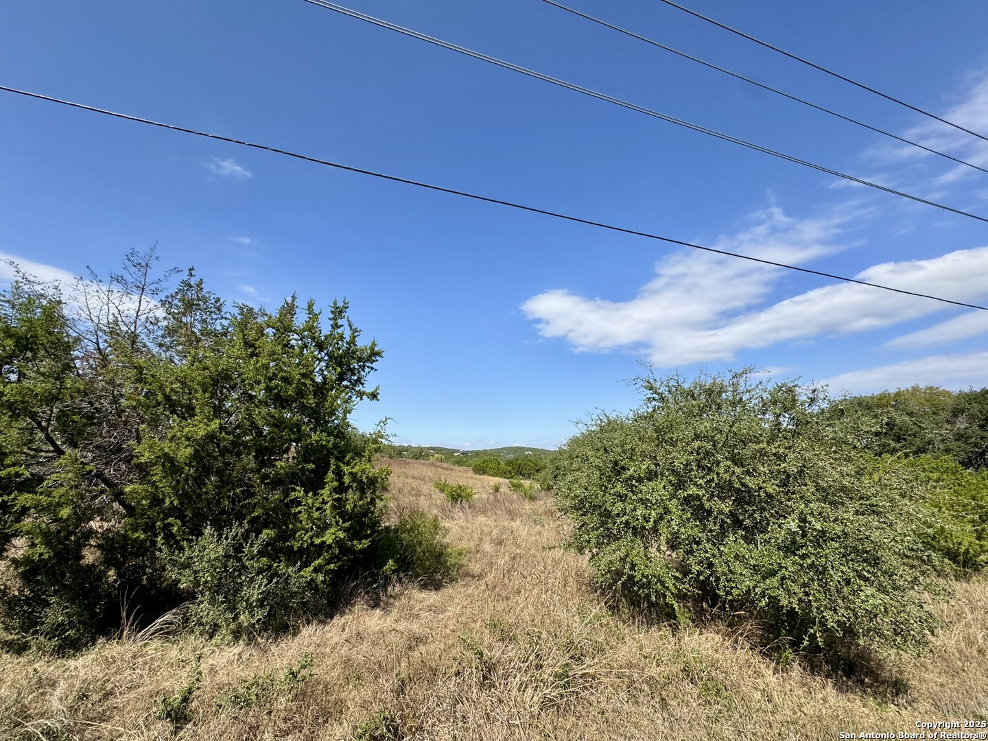 1047 Mystic Breeze Spring Branch, TX 78070 - Photo 9 of 12 a view of a yard