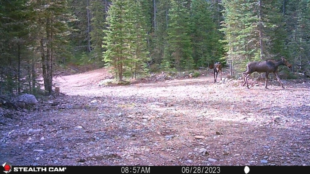 7 South Boulder Road Cardwell, MT 59721 - Photo 28 of 39 Gallery Image 28