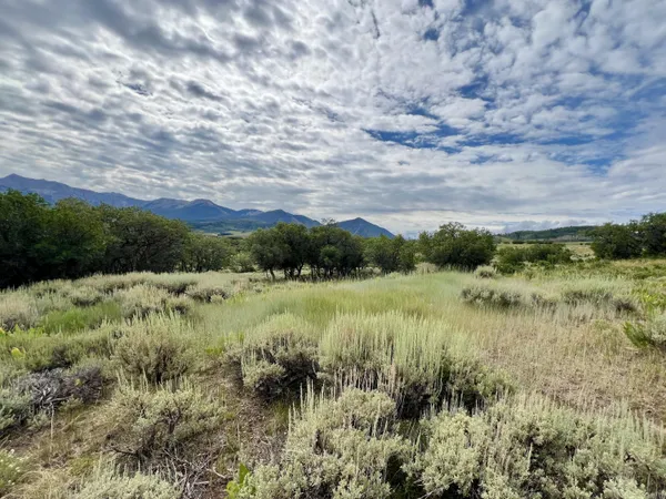 $2,365,000 | 1036 Harcourt Trail, Placerville, CO 81430