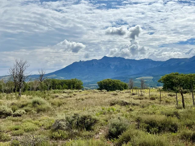 a view of a lake with a mountain in the background