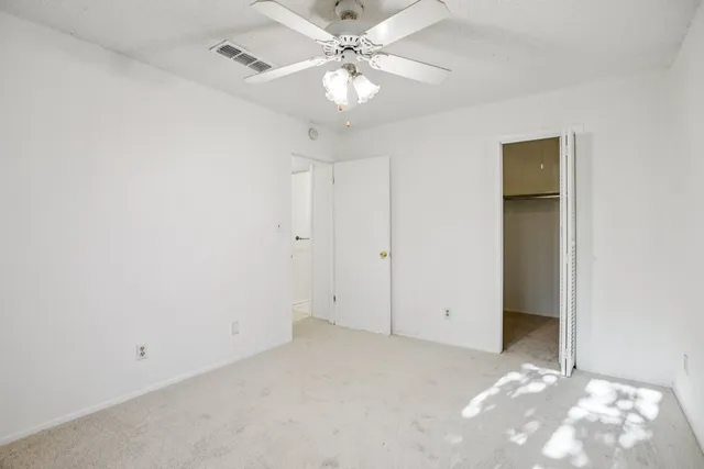 a view of a tree in the middle of a yard