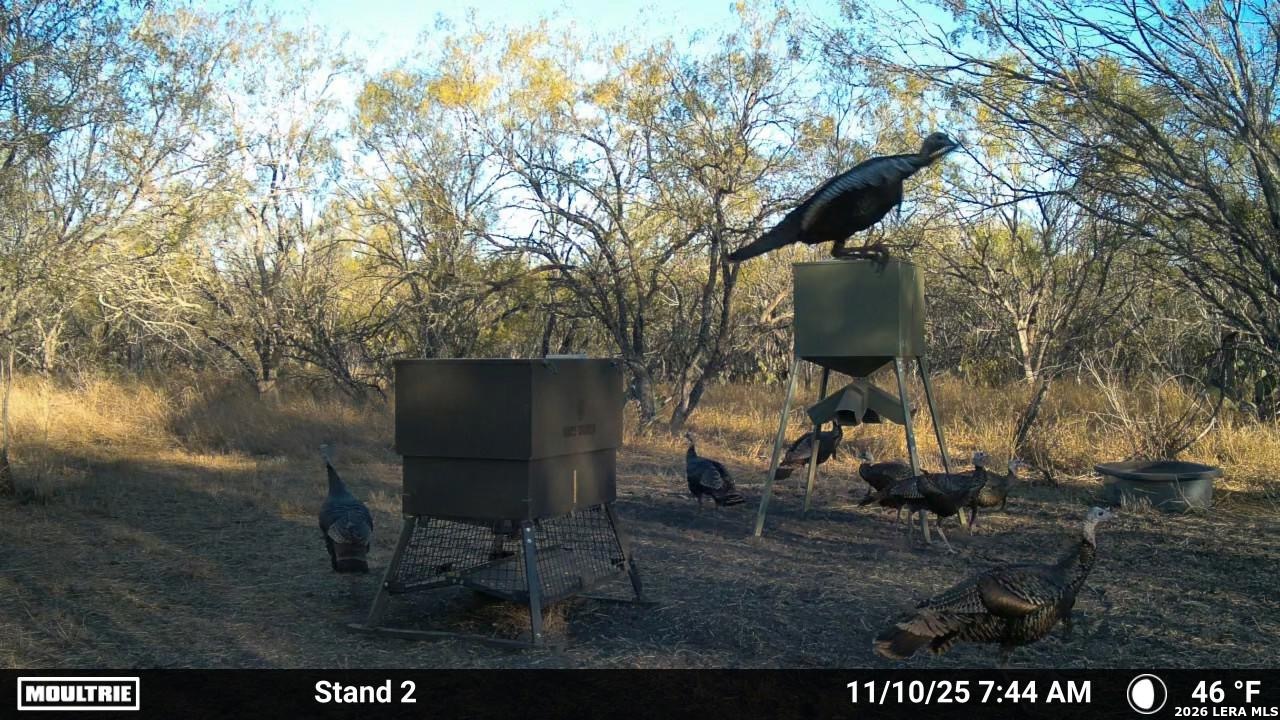 0 Cr 241 Three Rivers, TX 78071 - Photo 13 of 19