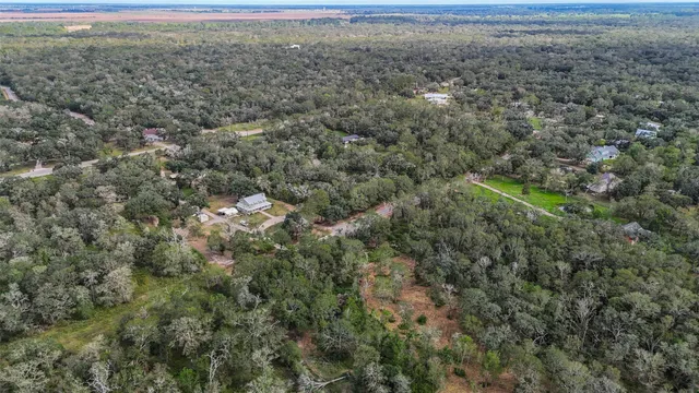 a view of a big yard with plants and large trees