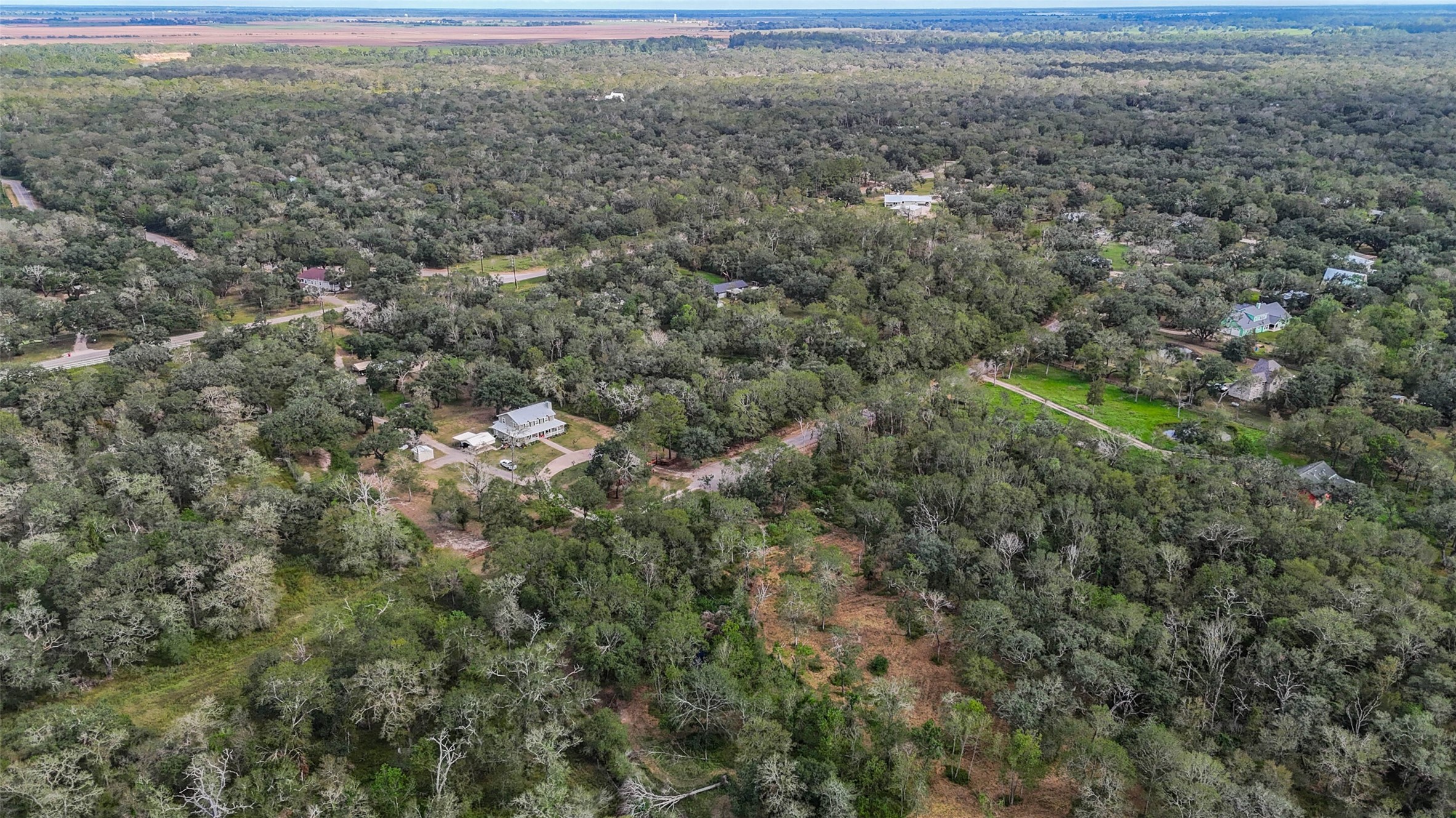 0 Live Oak Street Damon, TX 77430 - Photo 1 of 28 a view of a big yard with plants and large trees