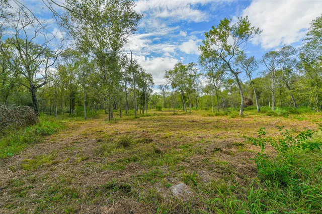 a view of a field with trees in background