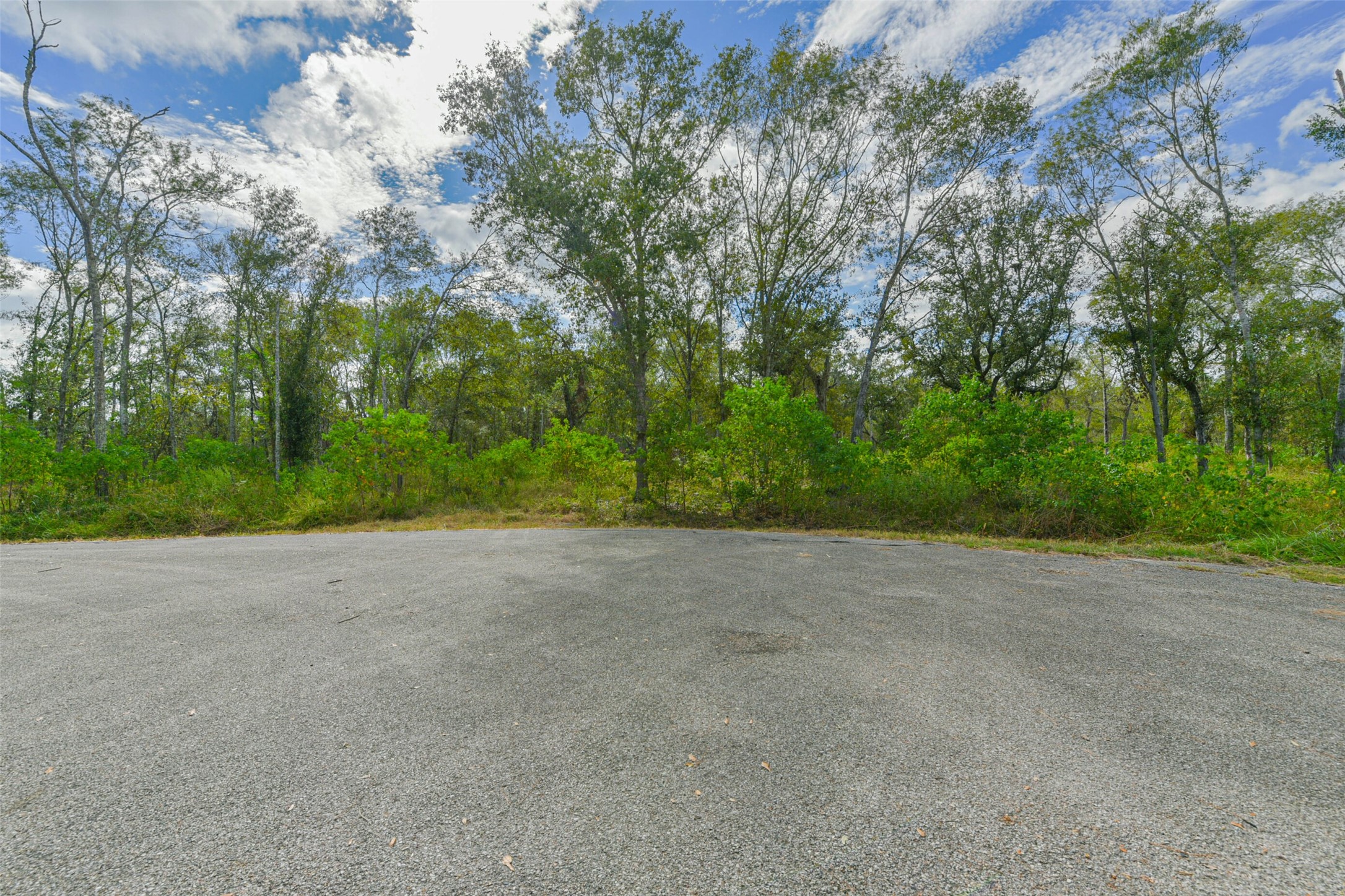 0 Live Oak Street Damon, TX 77430 - Photo 12 of 28 a view of a field with trees in background