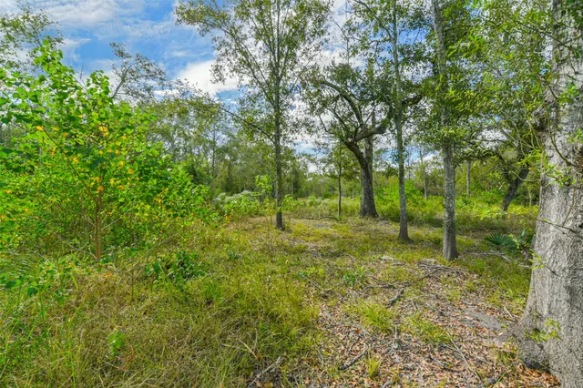 a view of a city with lush green forest