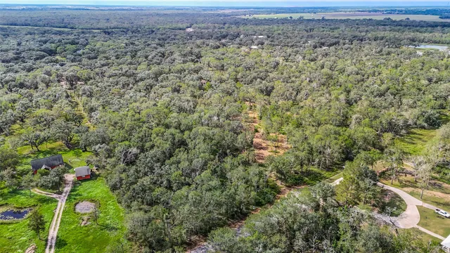 a view of a field with plants and trees