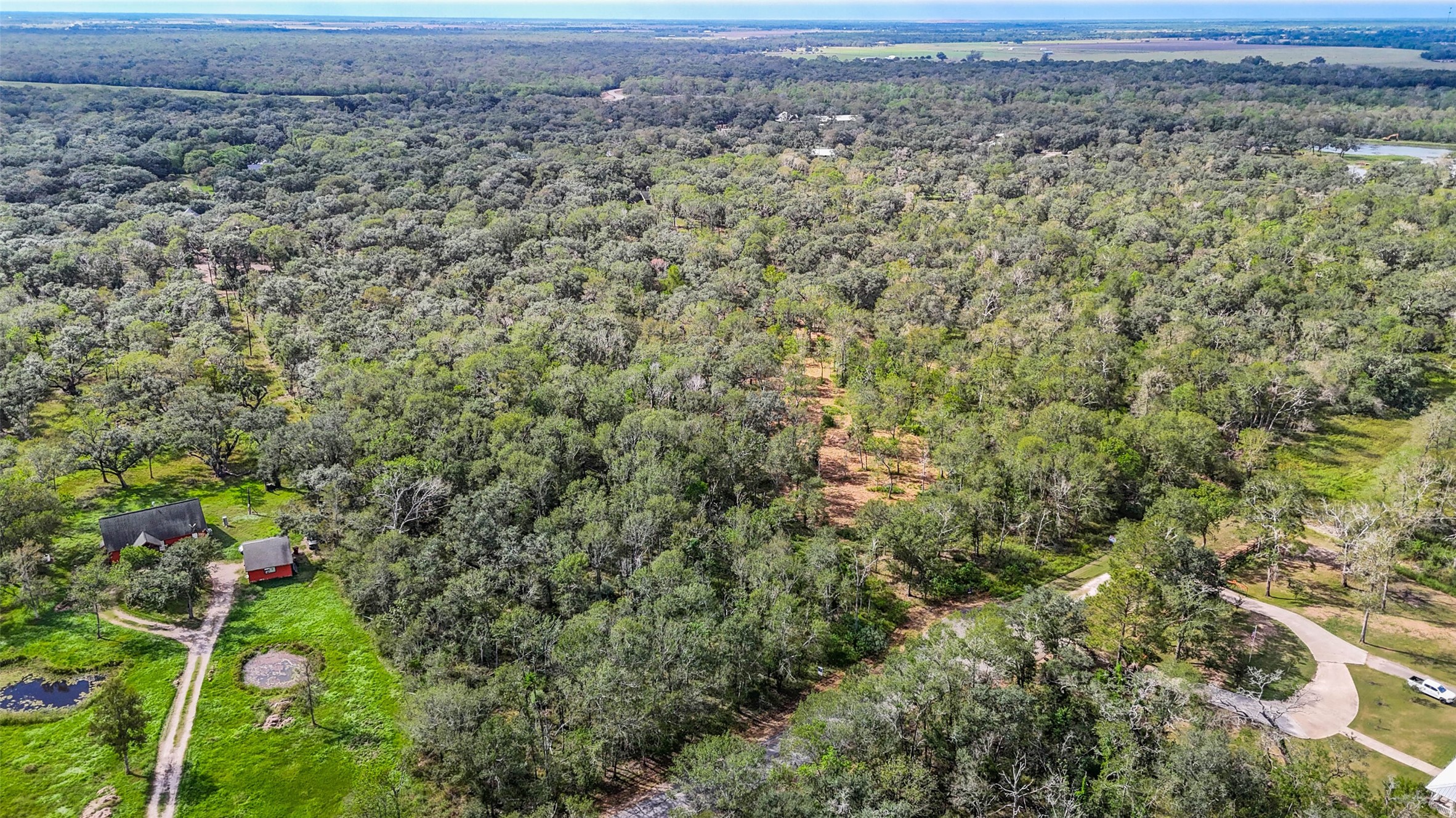 0 Live Oak Street Damon, TX 77430 - Photo 21 of 28 a view of a field with plants and large trees