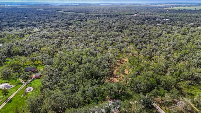 a view of a field with plants and trees