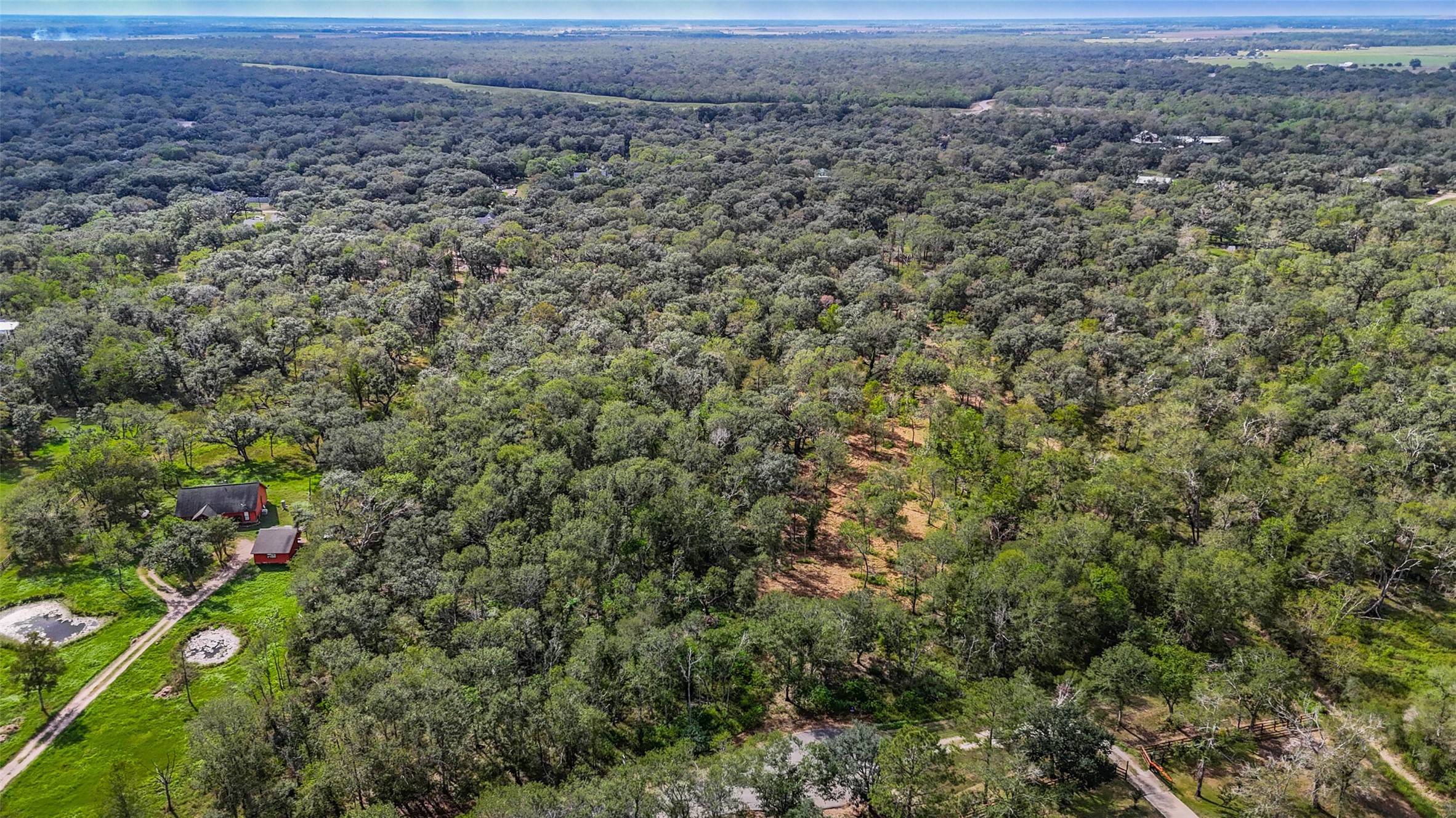 0 Live Oak Street Damon, TX 77430 - Photo 22 of 28 a view of a field with plants and trees