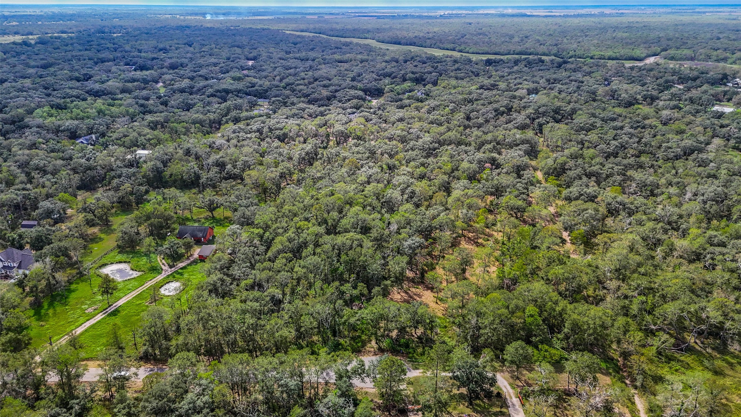 0 Live Oak Street Damon, TX 77430 - Photo 23 of 28 a view of a field with plants and trees