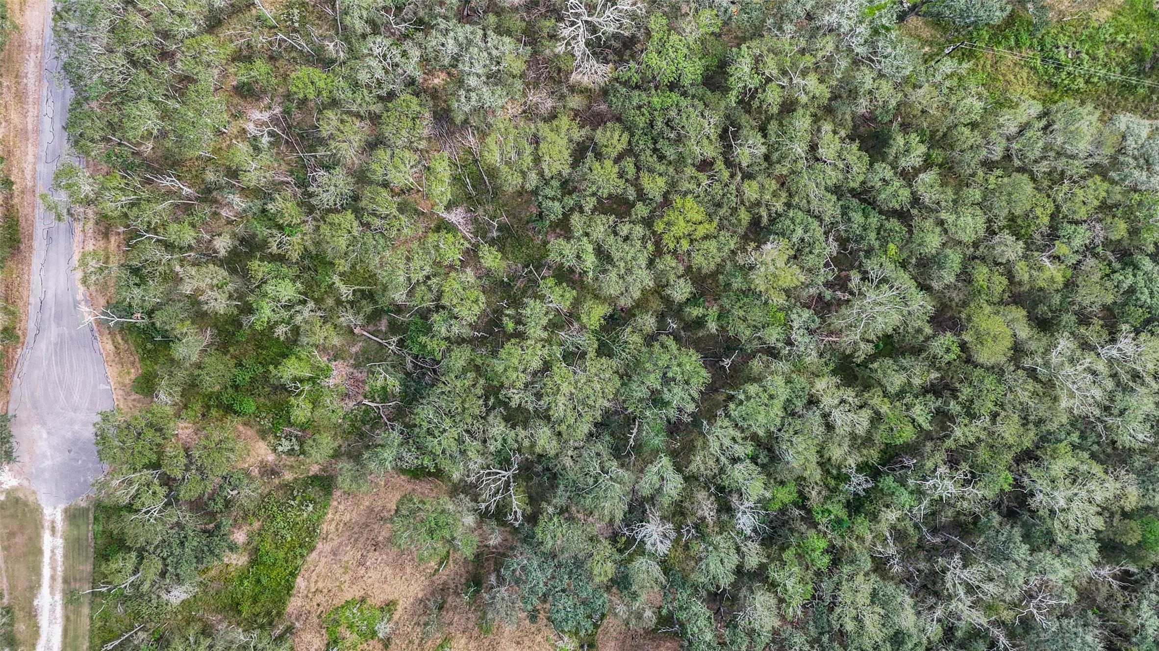 0 Live Oak Street Damon, TX 77430 - Photo 27 of 28 an outdoor view of house with green space