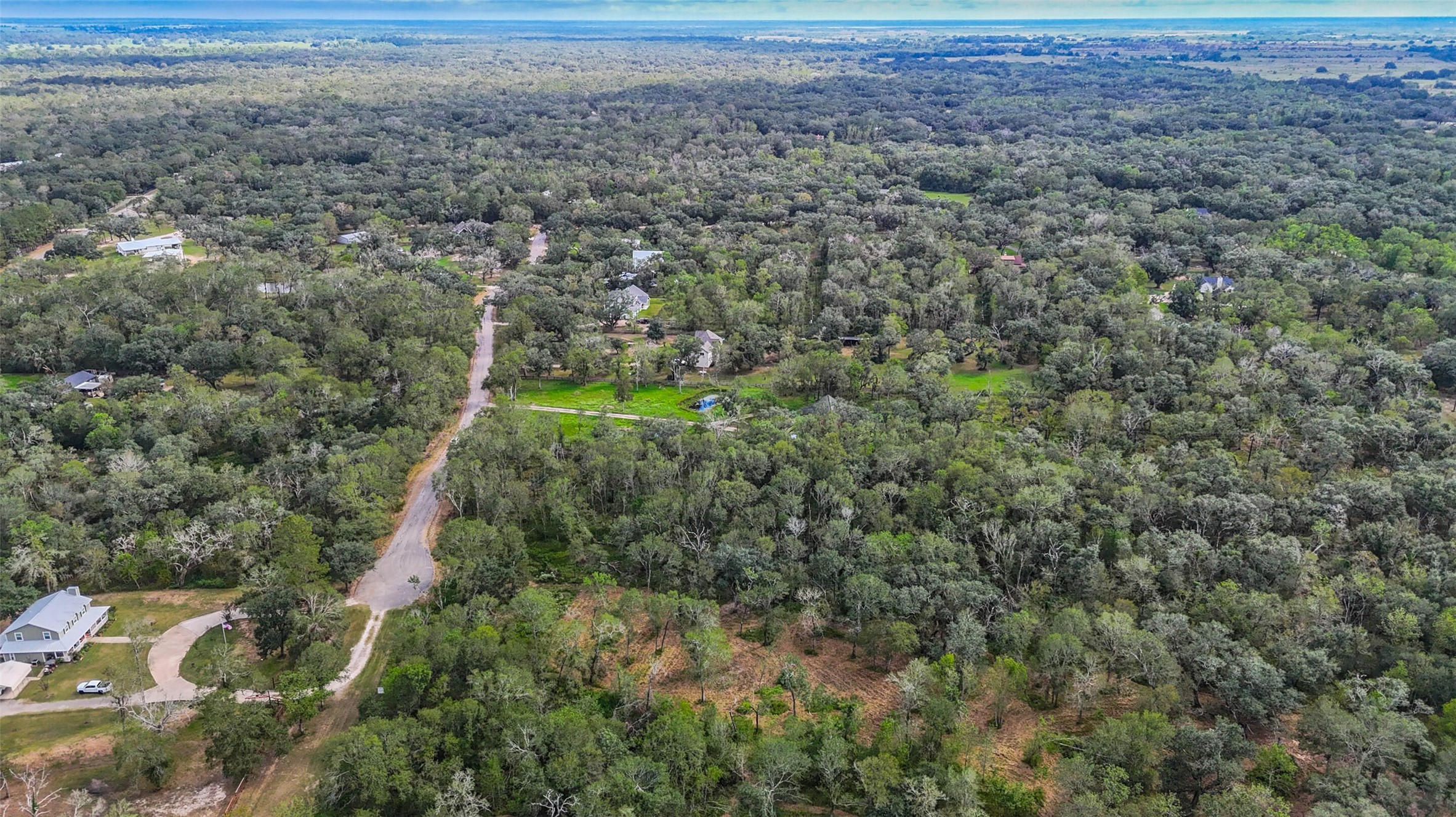 0 Live Oak Street Damon, TX 77430 - Photo 28 of 28 a view of a big yard with plants and large trees