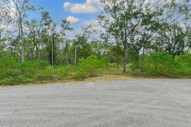 a view of a yard with a tree