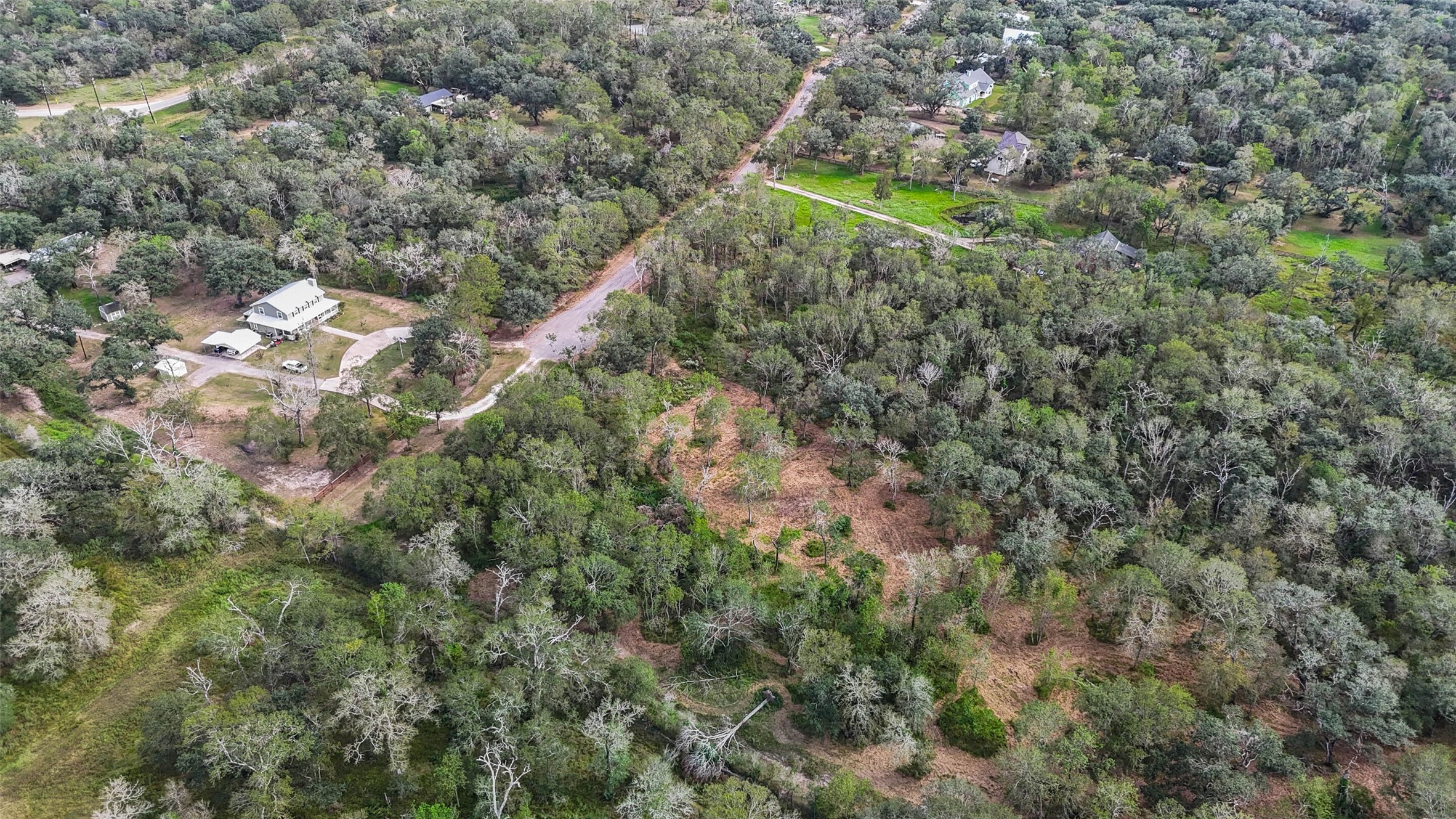0 Live Oak Street Damon, TX 77430 - Photo 5 of 28 a view of a forest with a tree
