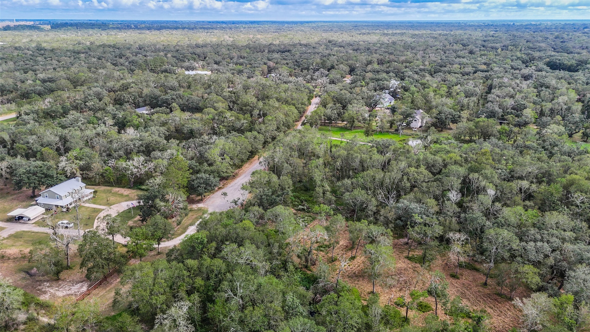 0 Live Oak Street Damon, TX 77430 - Photo 6 of 28 a view of a yard with a tree