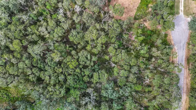 a view of outdoor space and trees