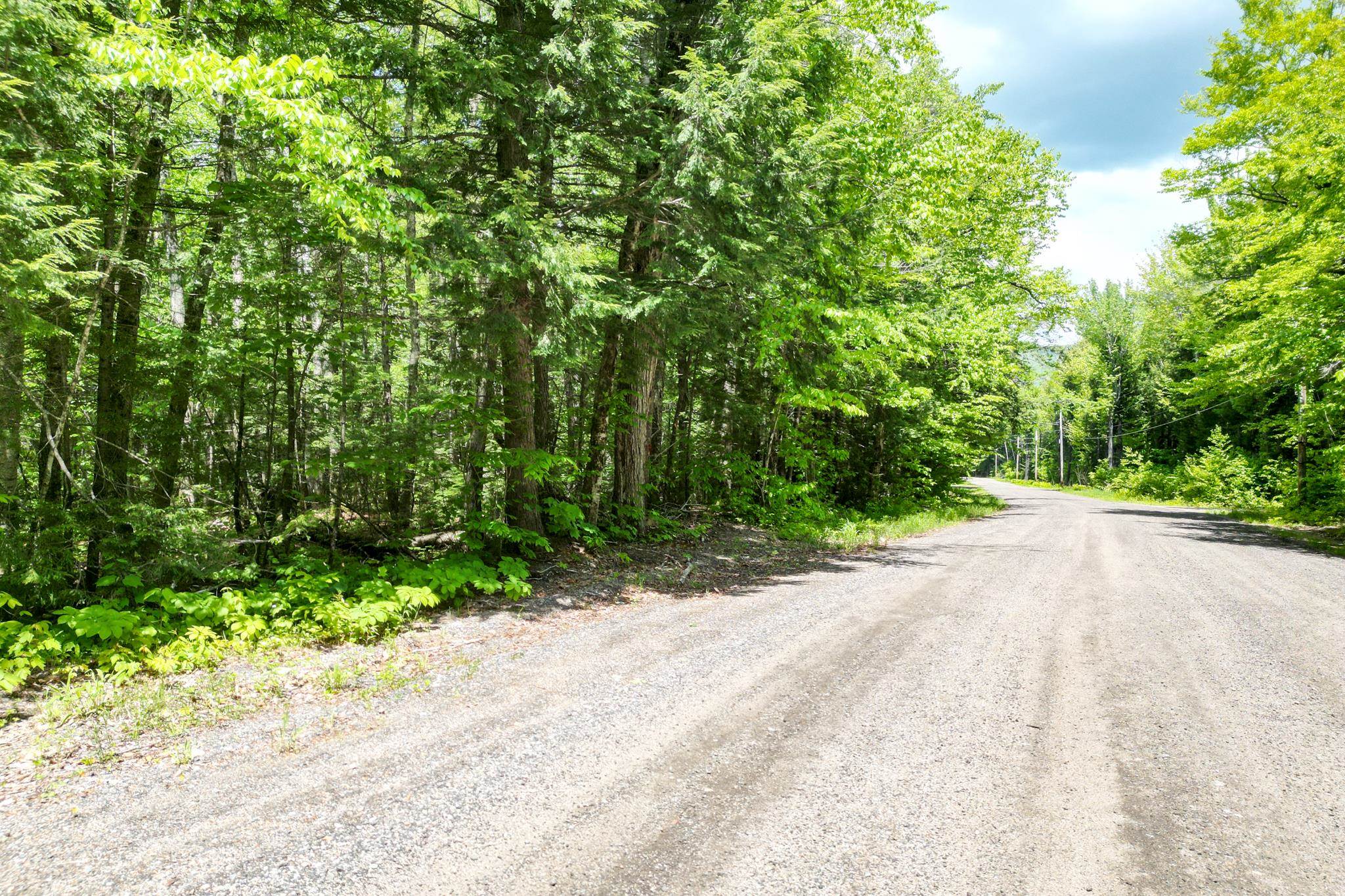 0 Rolling Ridge Road Bartlett, NH 03812 - Photo 5 of 6