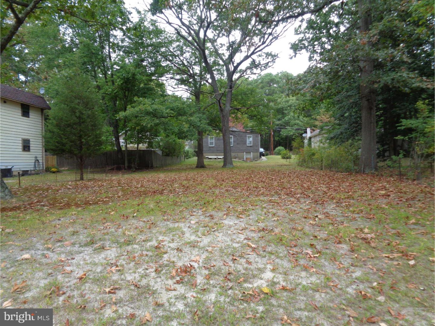 21 Pine Road Gibbsboro, NJ 08026 - Photo 4 of 9