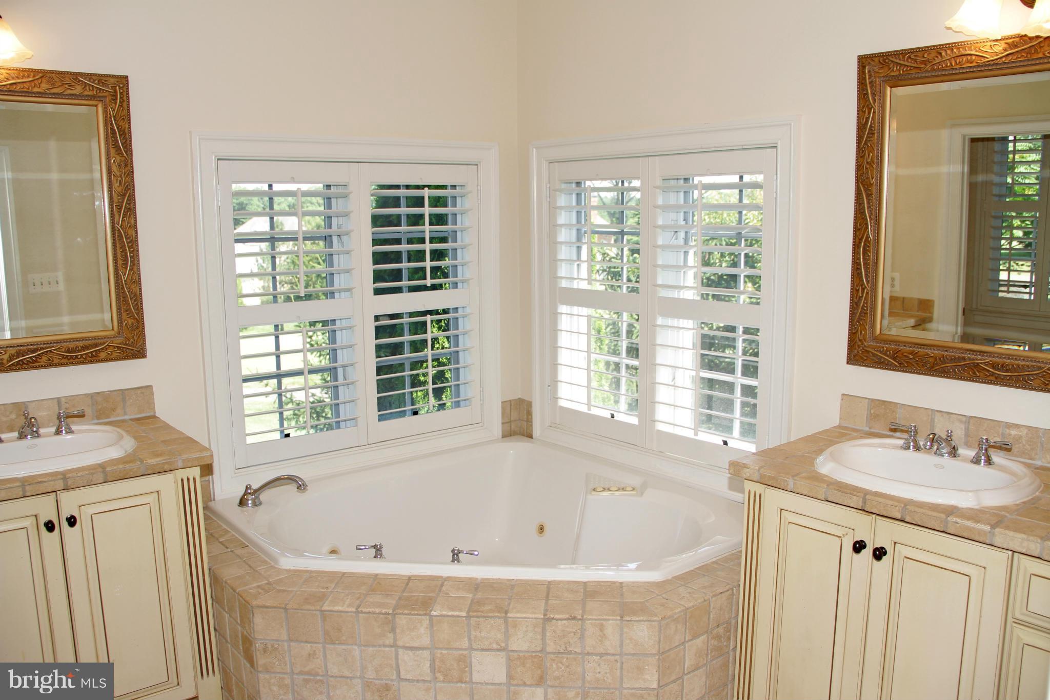 8288 Roxborough Loop Gainesville, VA 20155 - Photo 19 of 30 Luxurious Master Bath with Tumbled Marble Tile