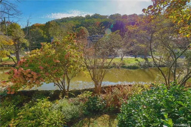 a view of a lake with a mountain
