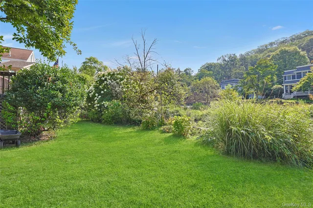 a view of a lush green space