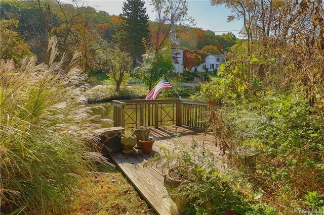 a view of a yard with plants