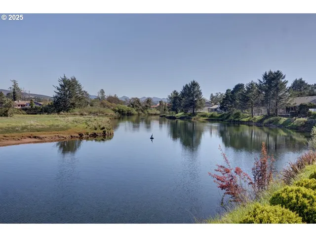 a view of a lake with houses in the back