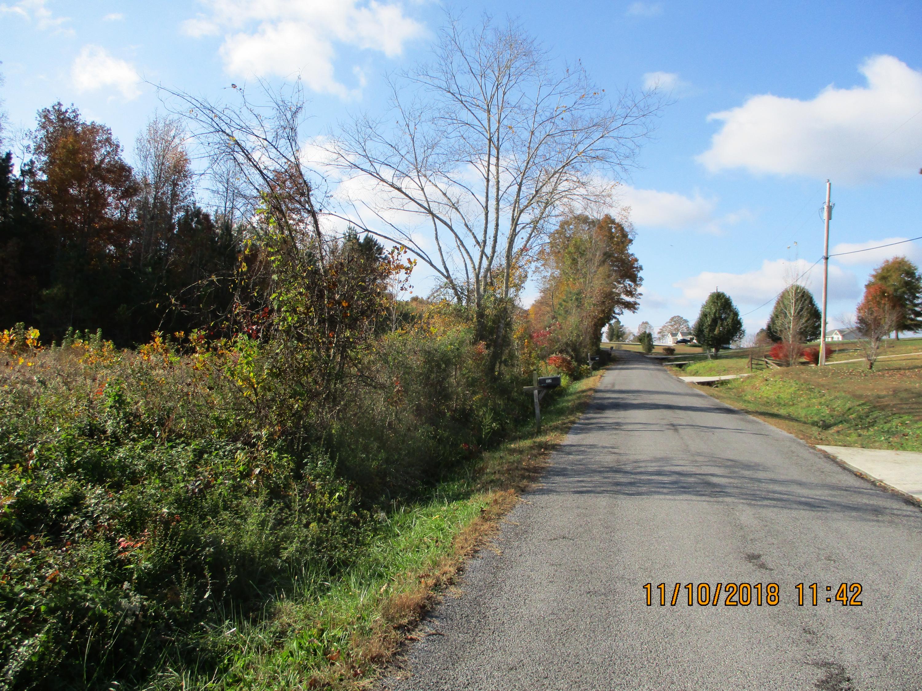 10 Sneed Road Evensville, TN 37332 - Photo 12 of 26 IMG_0062