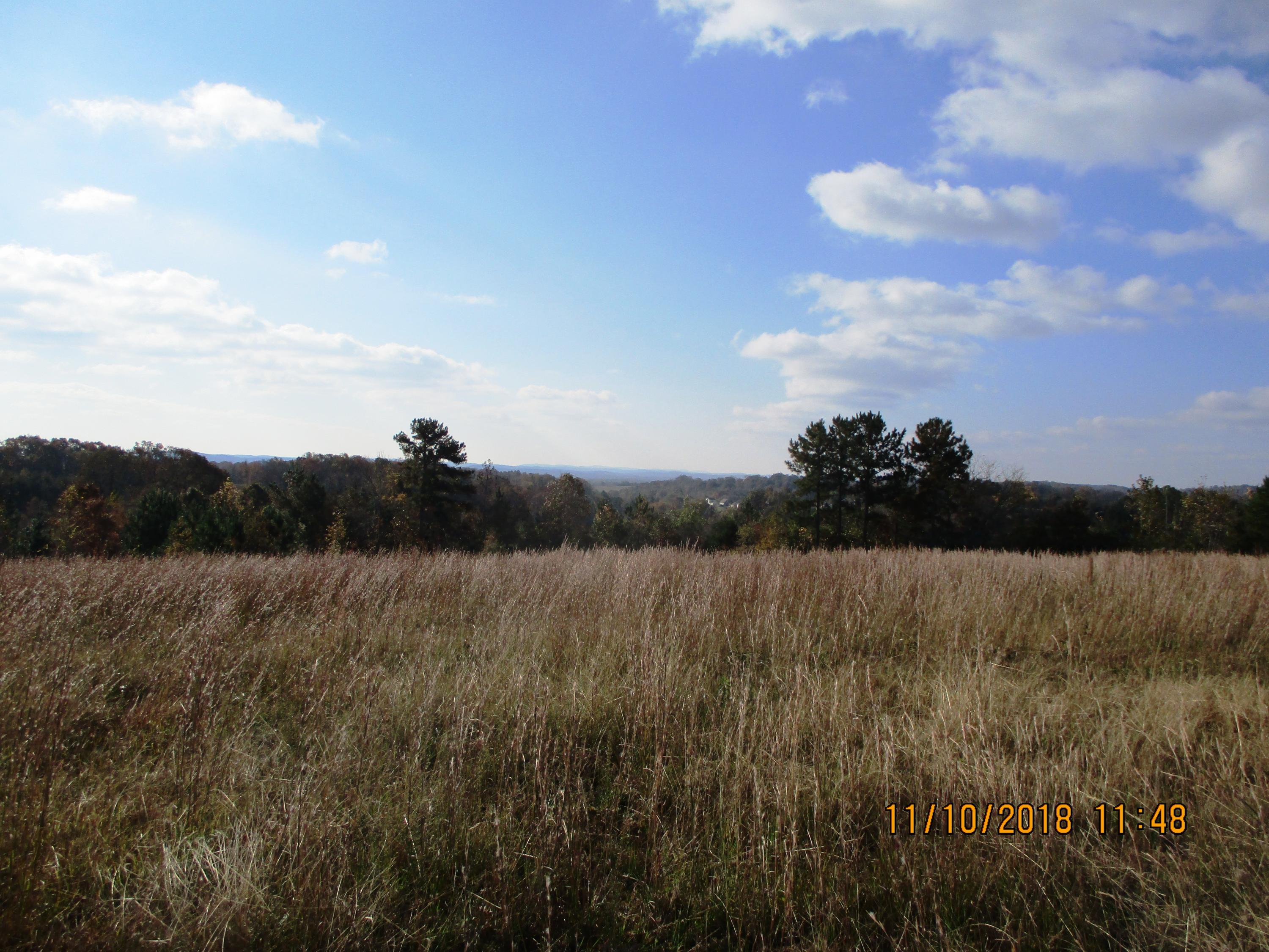 10 Sneed Road Evensville, TN 37332 - Photo 18 of 26 IMG_0069