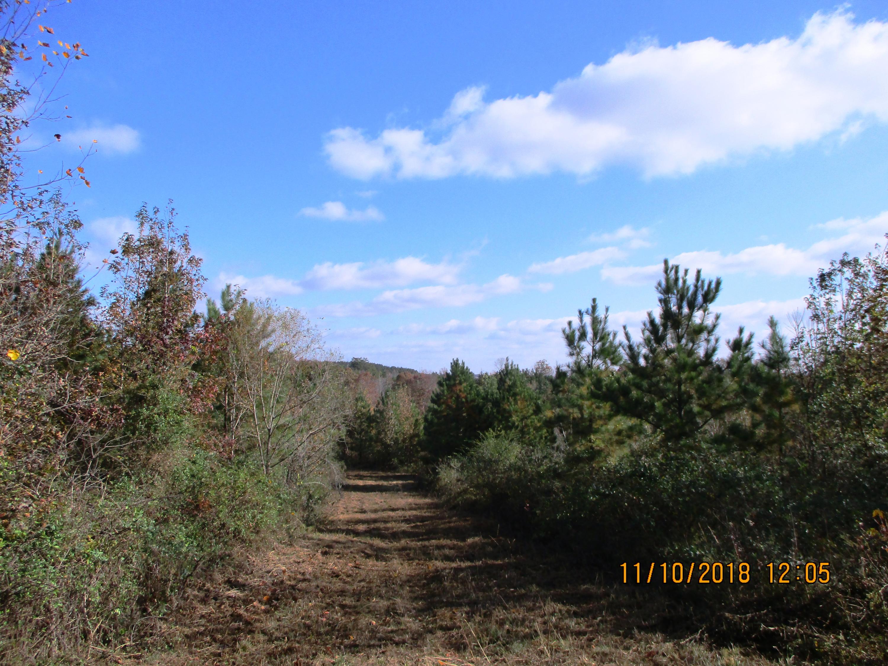 10 Sneed Road Evensville, TN 37332 - Photo 20 of 26 IMG_0076