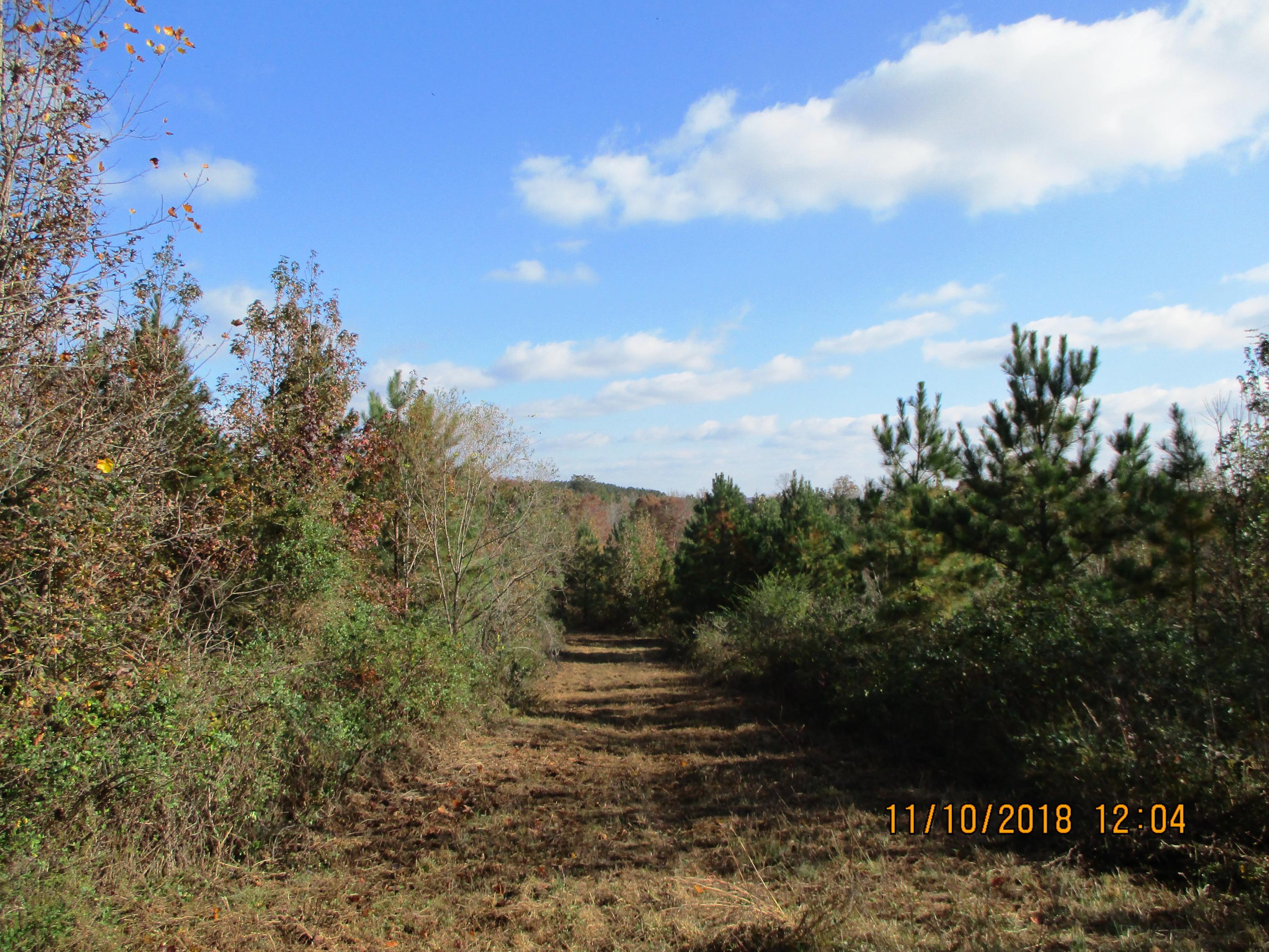 10 Sneed Road Evensville, TN 37332 - Photo 7 of 26 IMG_0075