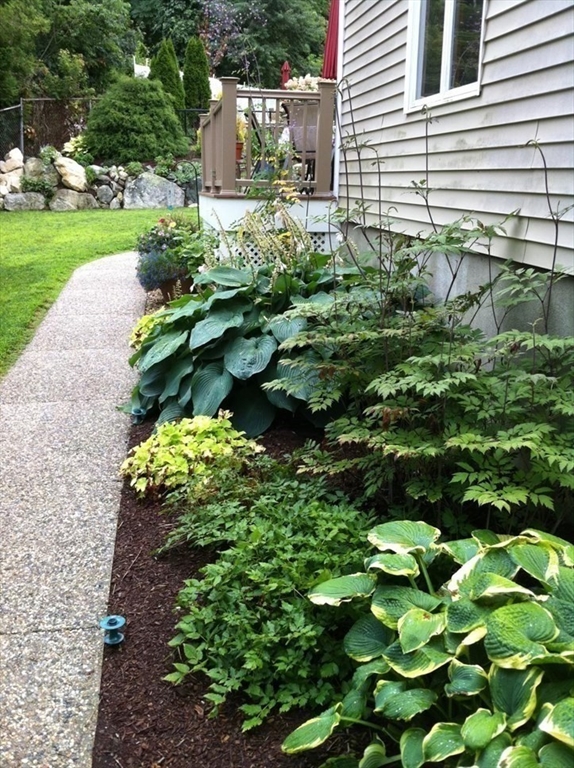 8 Grace Road Woburn, MA 01801 - Photo 26 of 37 a plant that is in front of the house