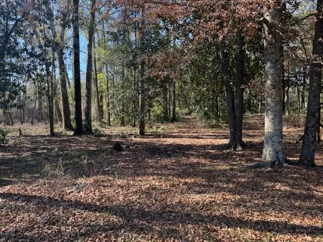 $199,000 | 30159 62nd Highway, Franklinton, LA 70438