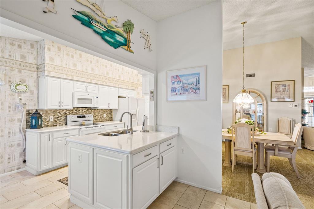 2173 Springmeadow Drive Spring Hill, FL 34606 - Photo 11 of 55