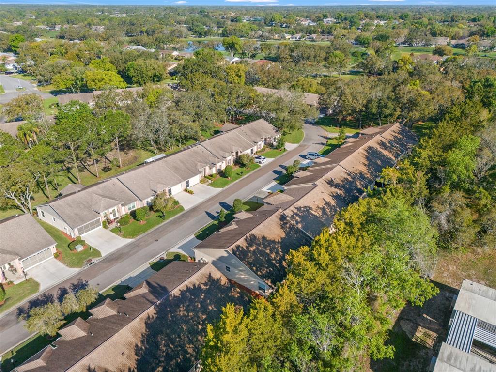 2173 Springmeadow Drive Spring Hill, FL 34606 - Photo 39 of 55