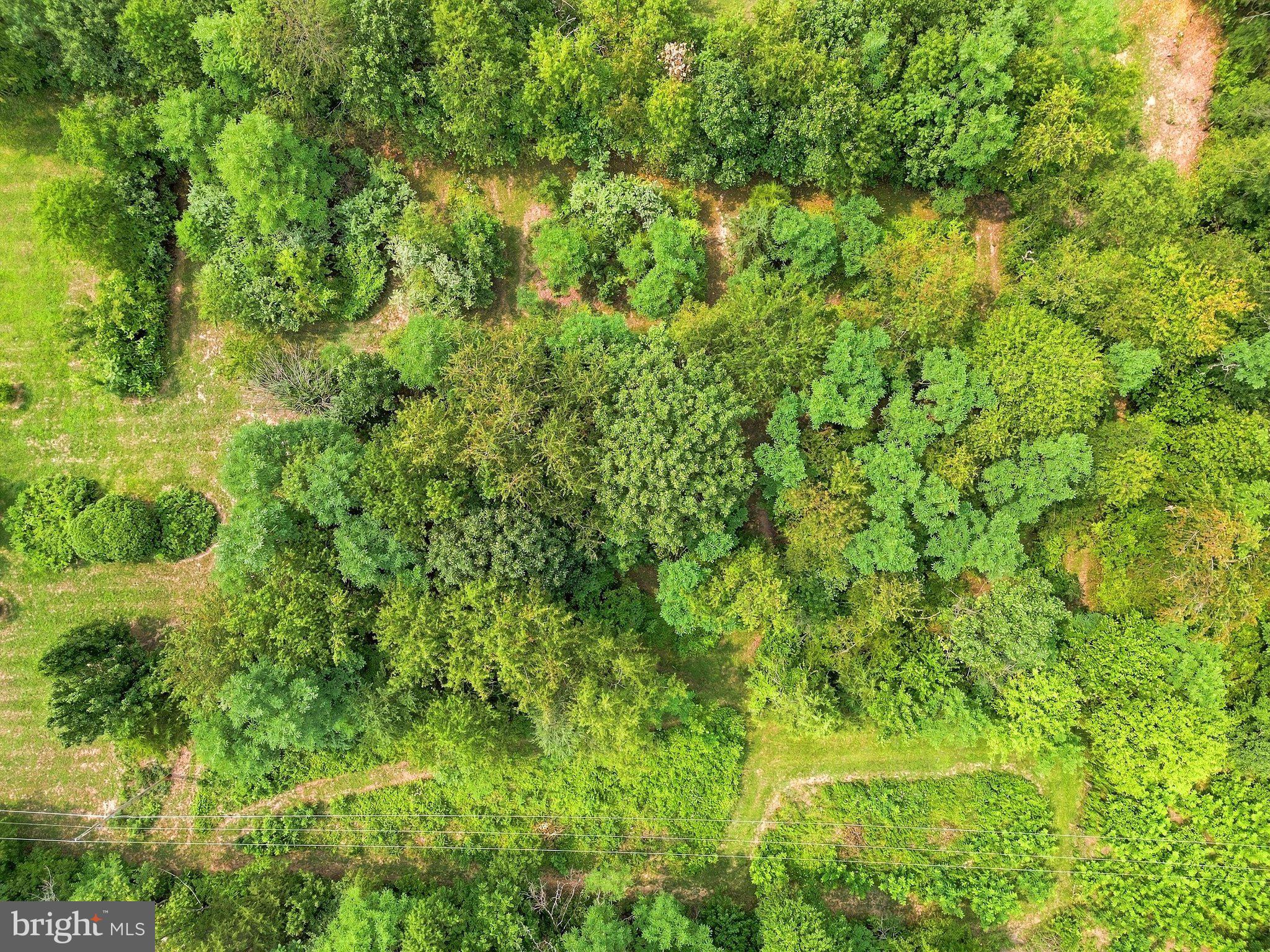 852 McDonald Road Winchester, VA 22602 - Photo 53 of 59 Aerial view of back wooded area showing pathways