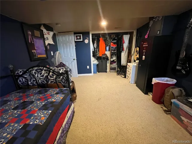 a bed room with a bed and a television