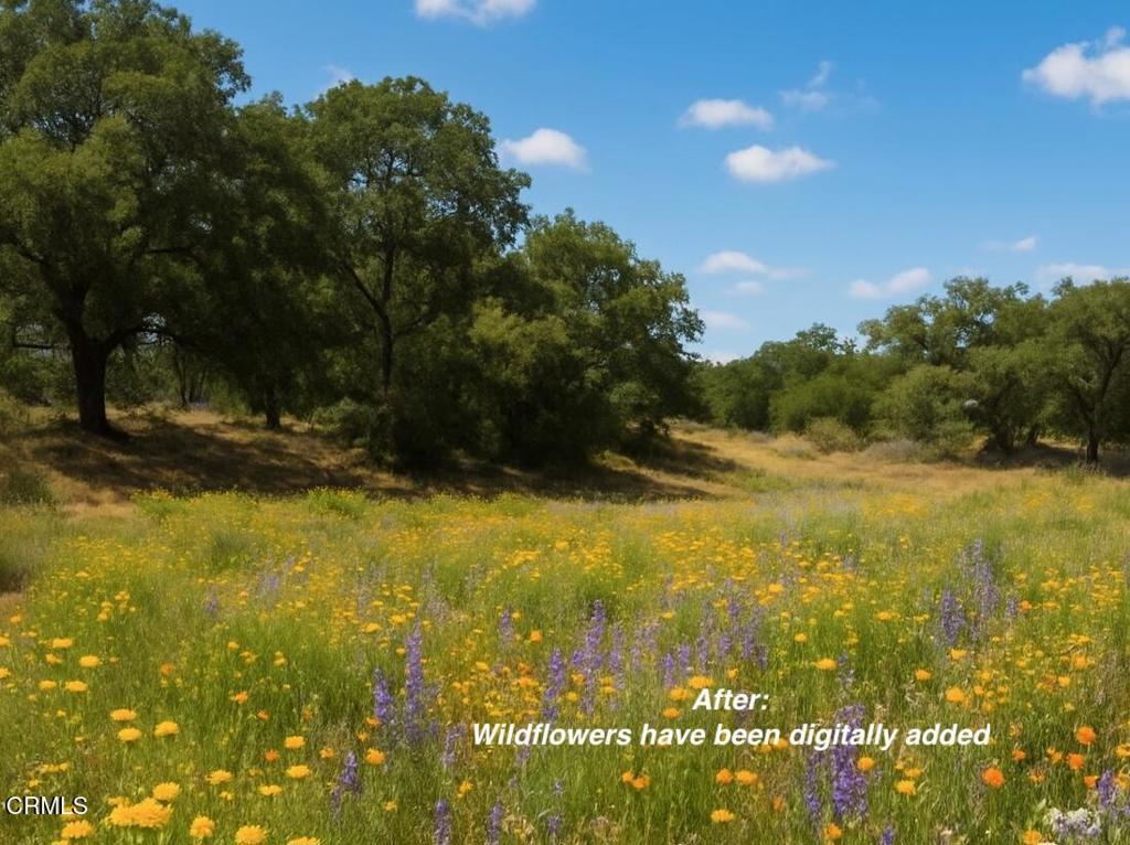 a view of yard with swimming pool and trees