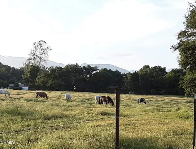 a view of yard with swimming pool and mountains