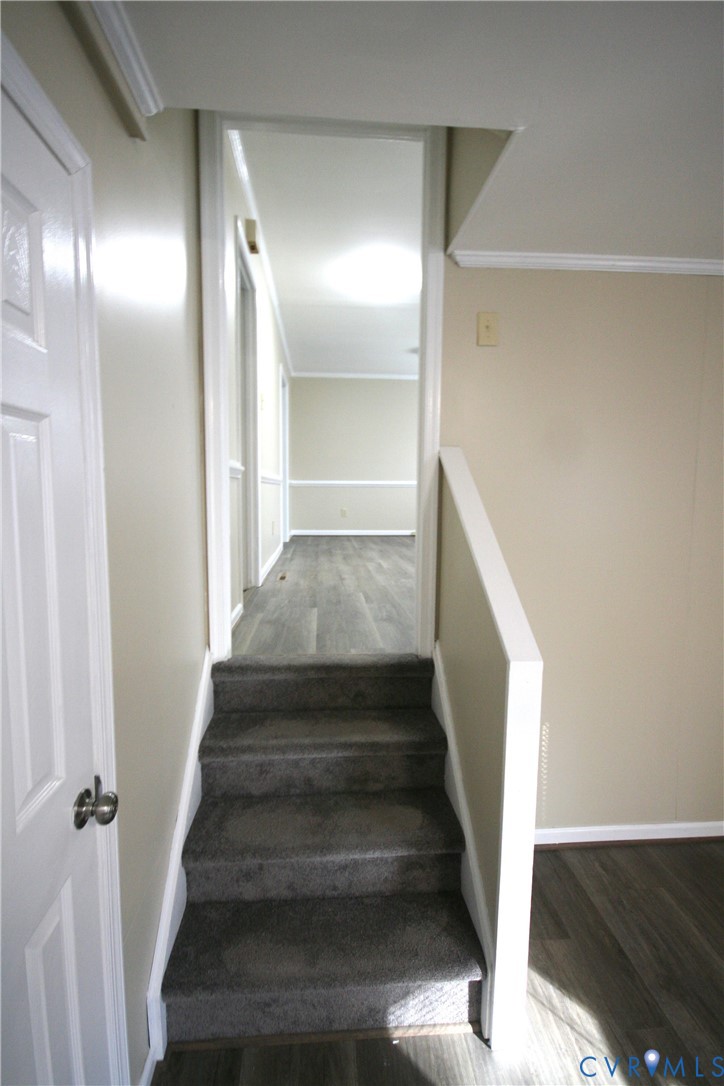 12141 Old Buckingham Road Midlothian, VA 23113 - Photo 28 of 39 Carpeted staircase with white risers and railing,