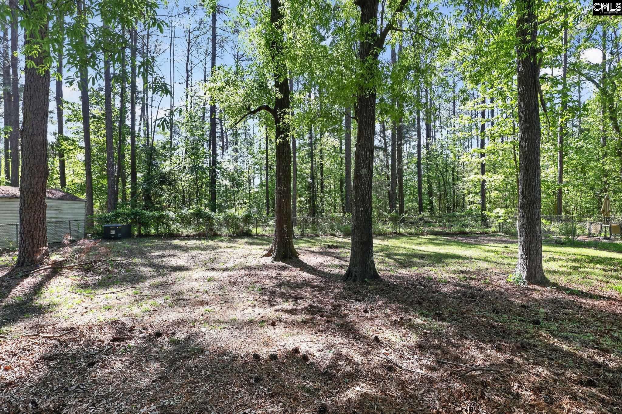 452 Harleston Road Irmo, SC 29063 - Photo 35 of 38