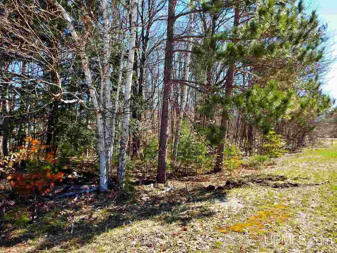 8896 Boot Lake Road Manistique, MI 49854 - Photo 22 of 22 Gallery Image 22