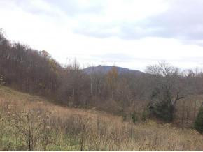 0 Earl Baxter Road Fall Branch, TN 37656 - Photo 7 of 9 Rolling Hills and Wooded Ridge