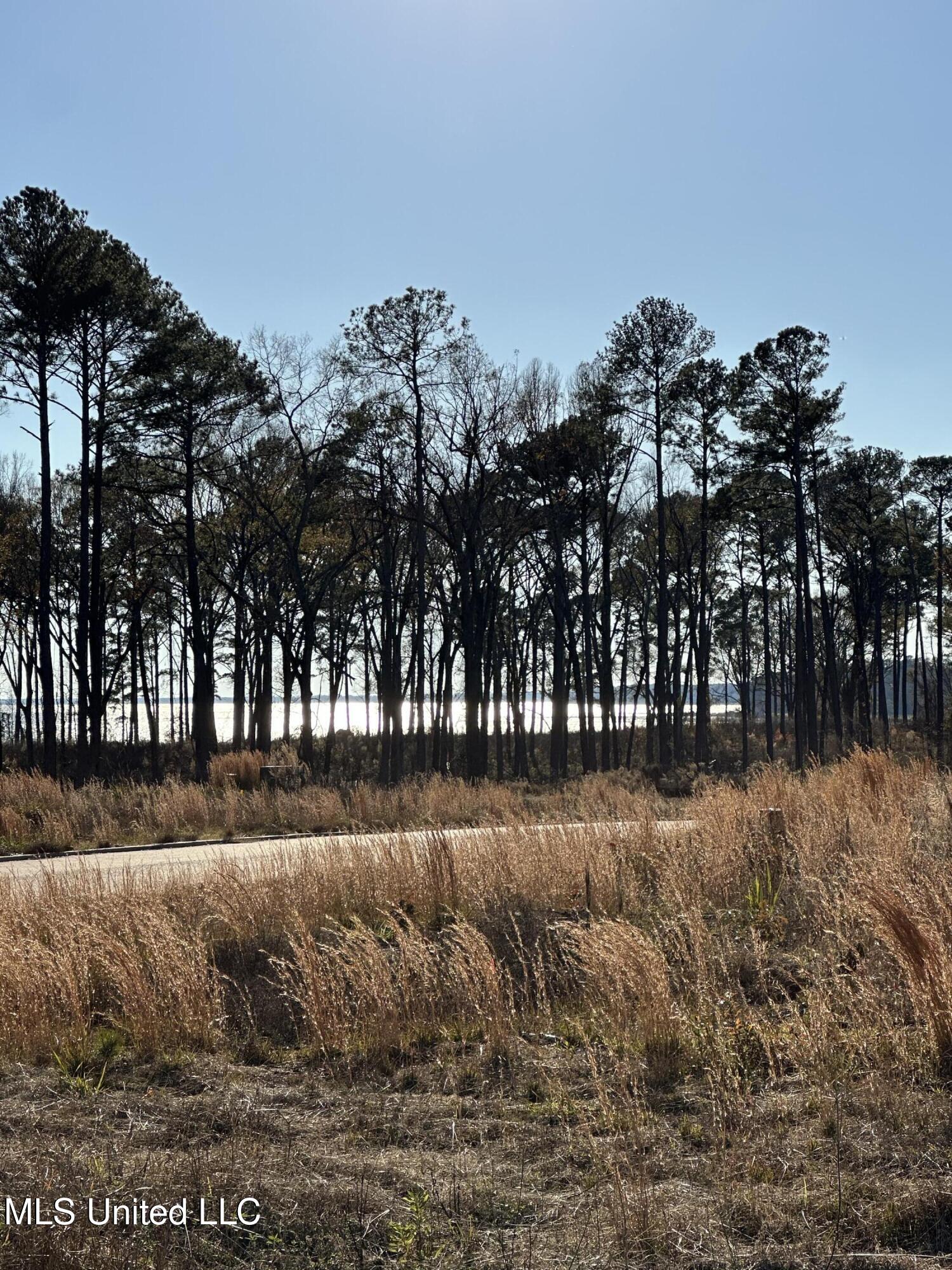 103 Venus Drive Canton, MS 39046 - Photo 3 of 10 Expedition Point Lot 29